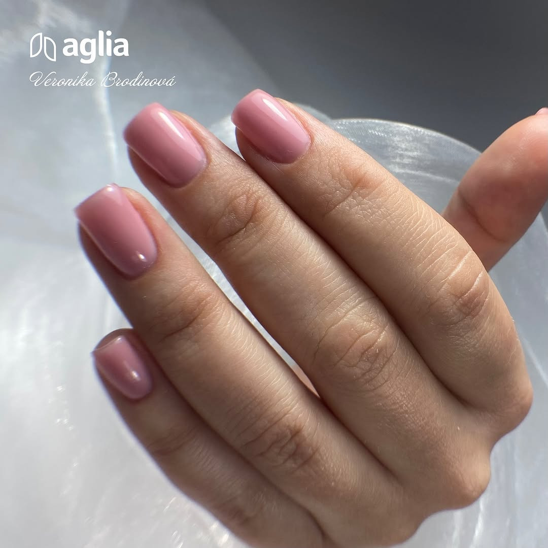 GUMMY BASE Punch Cake